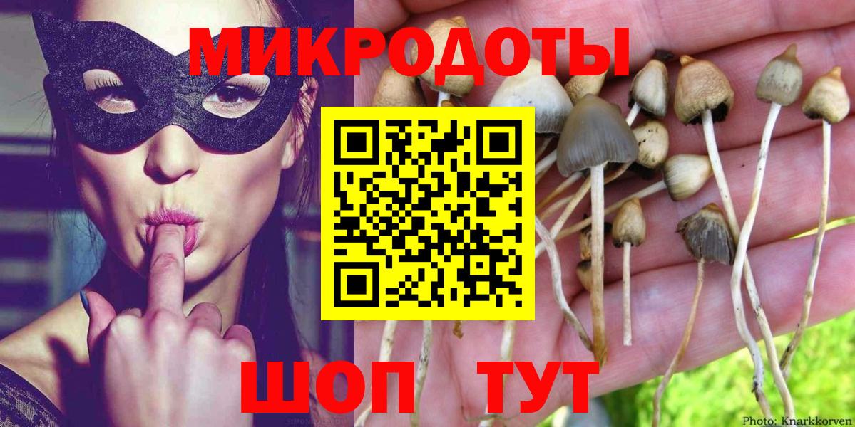 Галлюциногенные грибы GOLDEN TEACHER Губкинский