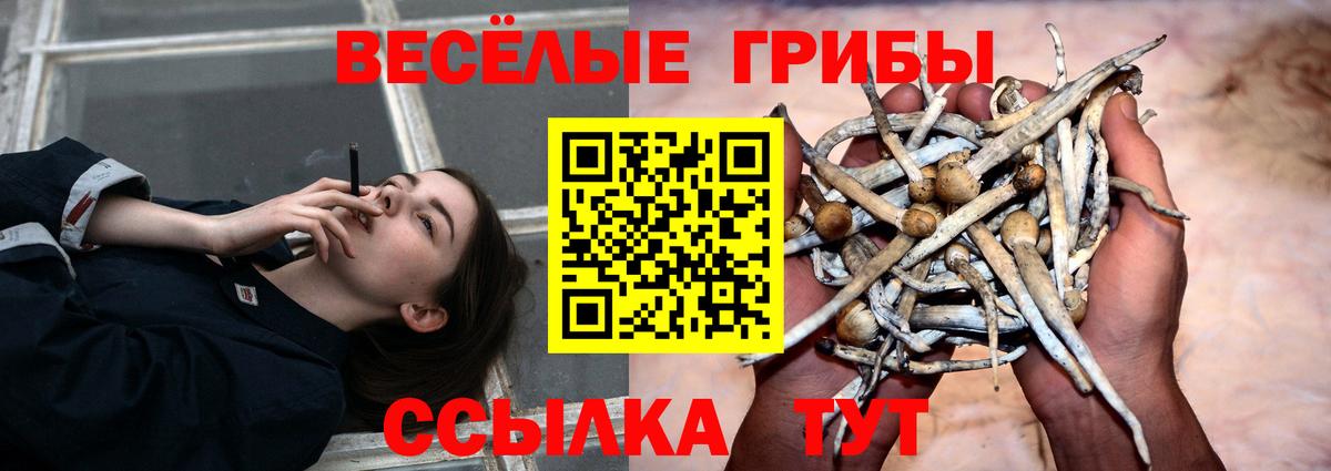 Галлюциногенные грибы Magic Shrooms  Вход с VPN  Галлюциногенные грибы GOLDEN TEACHER  Губкинский 